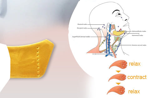 Dobshow™💛24KGold🐝BeeVenom-Lymphatic Drainage Therapy🌟