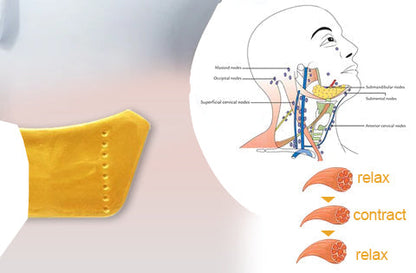 Dobshow™💛24KGold🐝BeeVenom-Lymphatic Drainage Therapy🌟