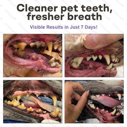 Healrize® 🐾PawBiome 3-in-1 Pet Oral Spray -WH53