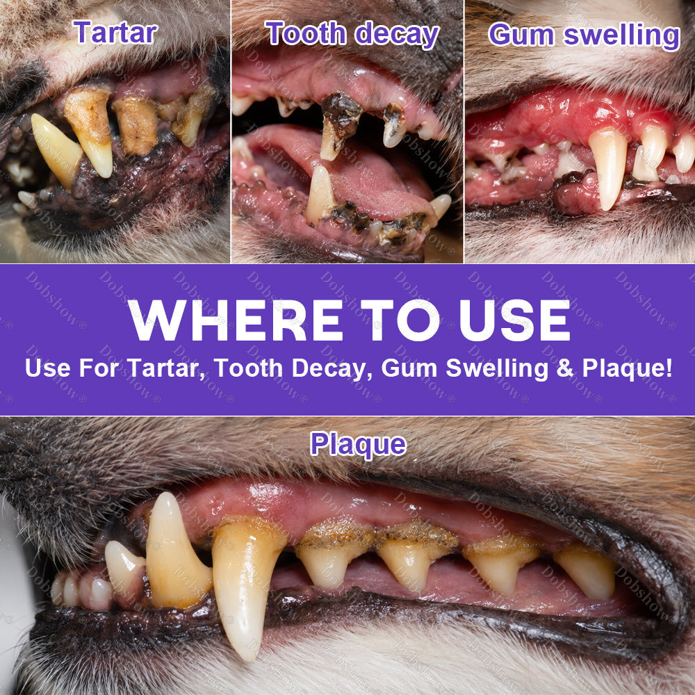 Healrize® 🐾PawBiome 3-in-1 Pet Oral Spray -WH53