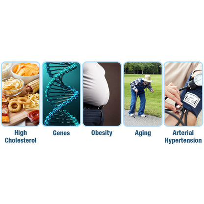 Nurbini™  GlycoWave Electric Pulse Device