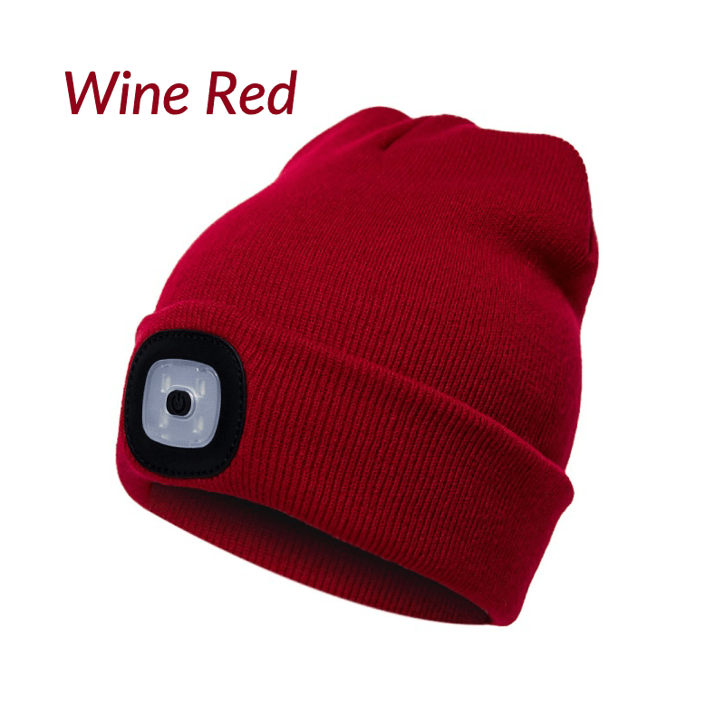 Dobshow™ LED Beanie Hat (🔥BEST WINTER GIFT EVER🎁)